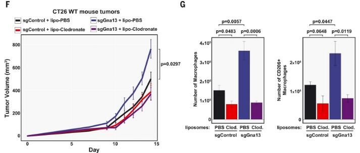 science.2021.373.issue-6561.data-cite