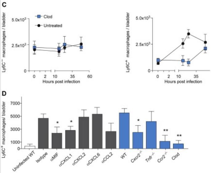 Cell-2014-Volume156-data-cite