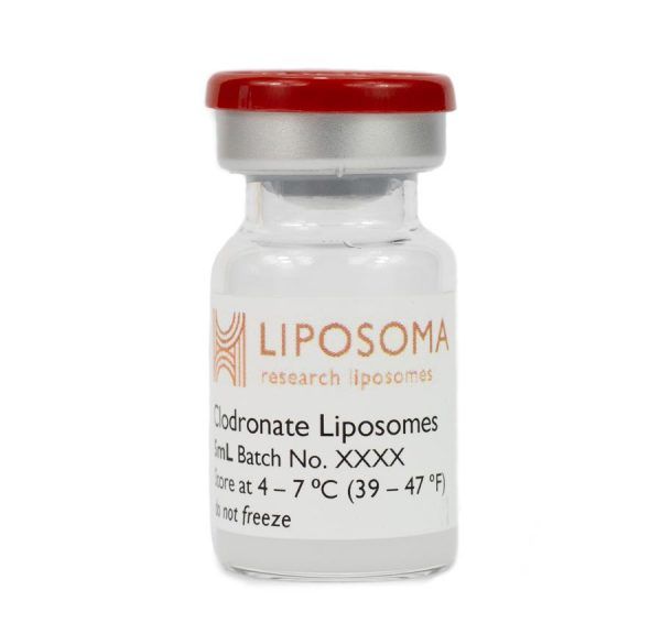 Clodronate Liposomes