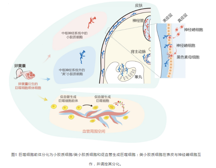 20230912-cell-結(jié)果截圖5