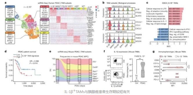 Nature-2023-623-IL-1β-數(shù)據(jù)截圖1